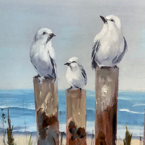 Perched Seagulls Canvas