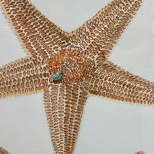 Load image into Gallery viewer, Starfish Framed Art
