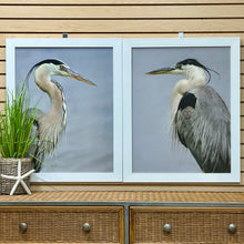Load image into Gallery viewer, Left Lookout Heron Giclee
