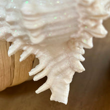 Load image into Gallery viewer, Glitter Shell Ornament
