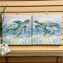 Load image into Gallery viewer, Seaweed Turtle II Canvas
