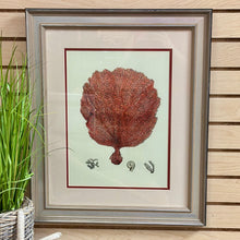 Load image into Gallery viewer, Coral Framed Art I
