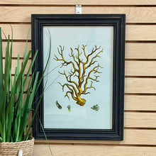 Load image into Gallery viewer, Framed Coral Art I

