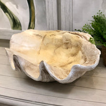 Load image into Gallery viewer, LG Clam Shell Decor
