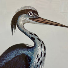Load image into Gallery viewer, Uttermost Shore Bird Art
