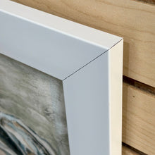 Load image into Gallery viewer, SM Grey Framed Shells II
