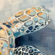 Load image into Gallery viewer, Swimming Turtle Giclee
