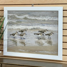 Load image into Gallery viewer, Running Sandpiper Art
