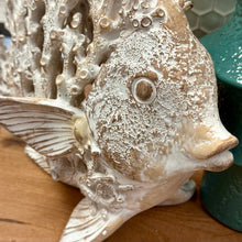 Load image into Gallery viewer, Coral Angelfish Decor
