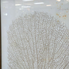 Load image into Gallery viewer, Beige Coral Art I

