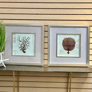Silver Framed Sea Fan
