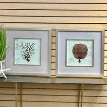 Load image into Gallery viewer, Silver Framed Sea Life
