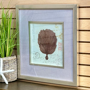 Silver Framed Sea Fan