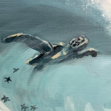 Load image into Gallery viewer, Swimming Turtles Giclee
