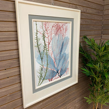 Load image into Gallery viewer, Framed Seaweed II
