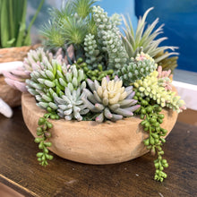 Load image into Gallery viewer, Round Wood Bowl Succulent I
