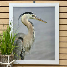 Load image into Gallery viewer, Right Lookout Heron Giclee
