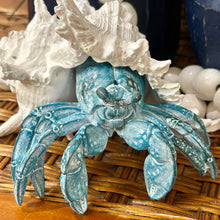 Load image into Gallery viewer, Hermit Crab

