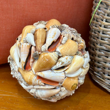 Load image into Gallery viewer, Mixed Shell Cluster
