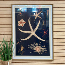 Load image into Gallery viewer, Framed Sea Life Art
