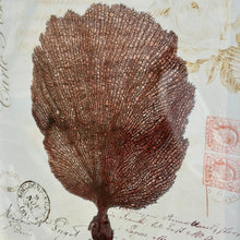 Load image into Gallery viewer, Silver Framed Sea Fan
