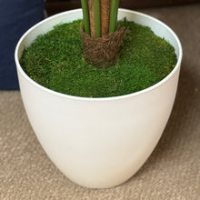 Load image into Gallery viewer, Faux Palm In White Pot

