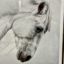 Load image into Gallery viewer, Framed Horse Print II
