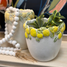 Load image into Gallery viewer, Short Lemon Planter
