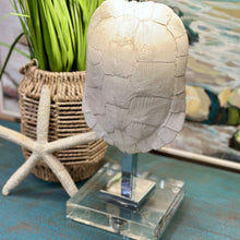 Load image into Gallery viewer, Cyan Design Tortoise Shell Lamp
