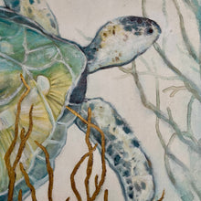 Load image into Gallery viewer, Framed Sea Turtle Art
