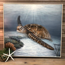 Load image into Gallery viewer, Underwater Sea Turtle Giclee
