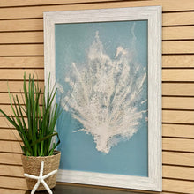 Load image into Gallery viewer, Aqua Sea Fan I Giclee
