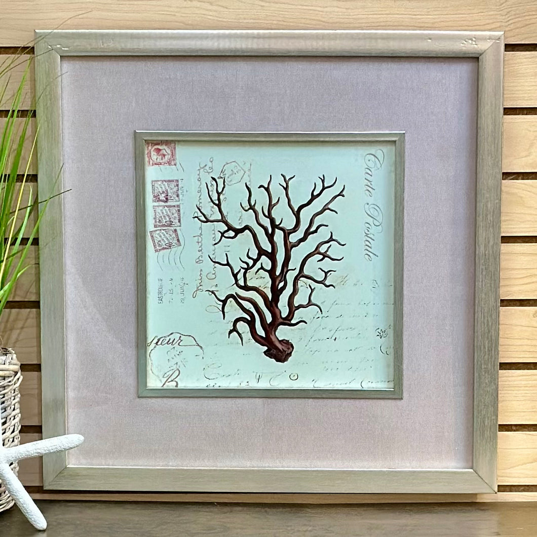 Silver Framed Sea Life