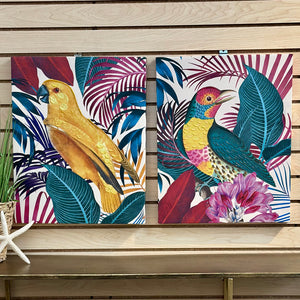 Tropical Bird Art II