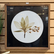 Load image into Gallery viewer, Leaf  Framed Art
