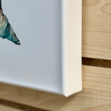 Load image into Gallery viewer, Colored Seashell II Canvas Art
