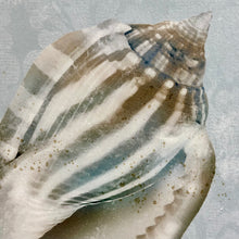 Load image into Gallery viewer, Blue Shell I
