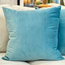 Load image into Gallery viewer, Aqua Pillow
