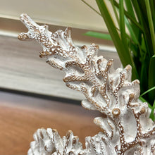Load image into Gallery viewer, Coral Angelfish Decor
