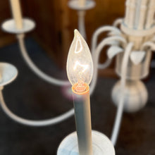 Load image into Gallery viewer, 8 Light Palm Leaf Chandelier

