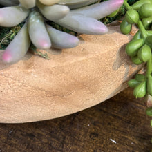 Load image into Gallery viewer, Round Wood Bowl Succulent I
