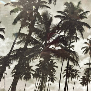 PB Teen 'Palms' Art