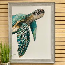 Load image into Gallery viewer, Turquoise Sea Turtle Giclee
