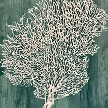 Load image into Gallery viewer, Teal Sea Fan I
