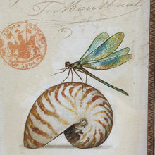 Load image into Gallery viewer, Woven Framed Nautilus Art
