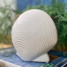 Load image into Gallery viewer, White Clam Decor
