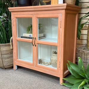 Soft Apricot 2DR Cabinet