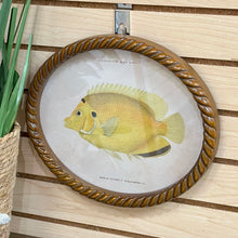 Load image into Gallery viewer, Oval Fish Print IV Art
