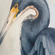 Load image into Gallery viewer, Hand Painted Shorebird Art II
