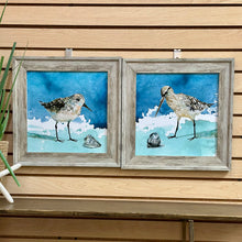 Load image into Gallery viewer, SM Sandpiper I
